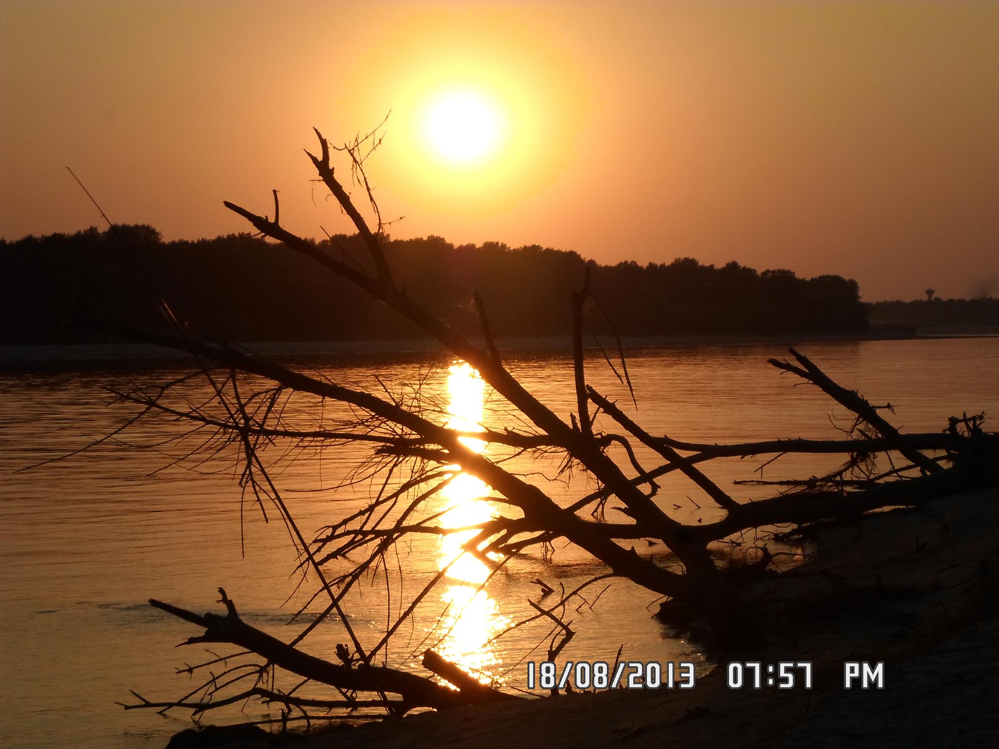 pescuit pe dunare - sam1001.JPG